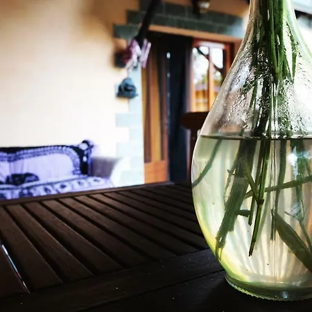 Nyaraló B&btorre Cives